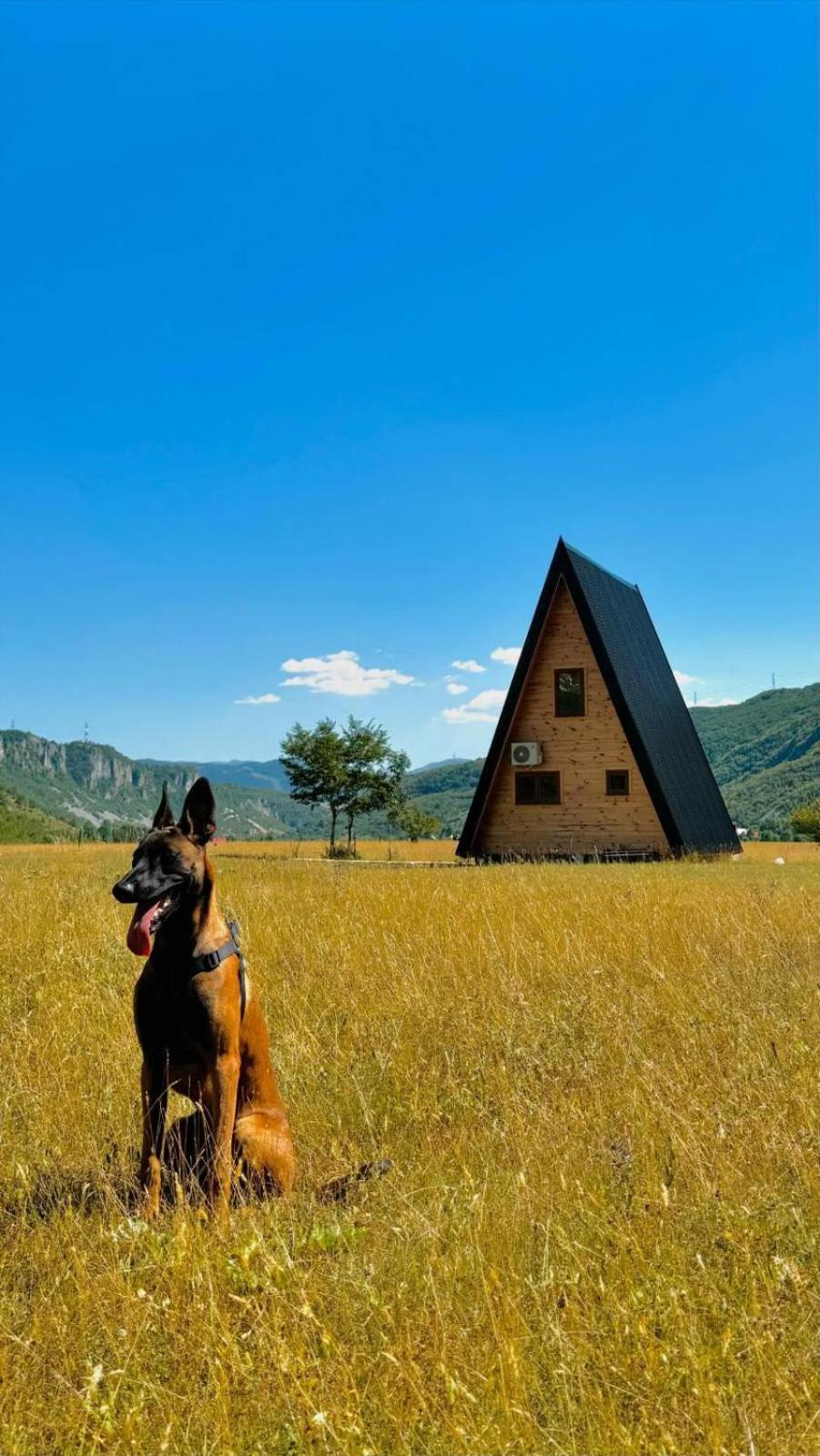 Silence House Villa Savnik Kültér fotó